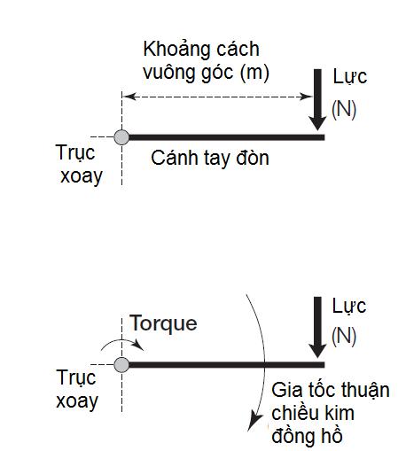 canh-tay-don-cua-luc-la-gi