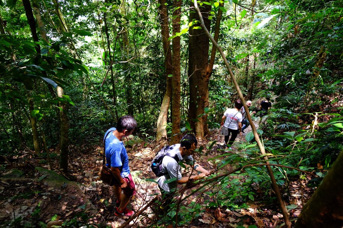 Trekking là một trong những trải nghiệm không thể bỏ qua khi đến Mai Châu