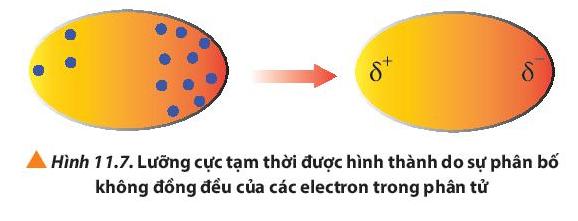 Giải Hóa 10 Bài 11: Liên kết hydrogen và tương tác van der Waals - Chân trời sáng tạo (ảnh 1)